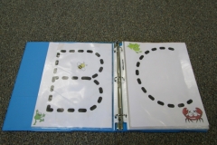 Frogs ABC Book Letter B,C