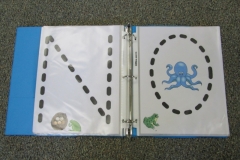 Frogs ABC Book Letter N,O