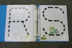 Frogs ABC Book Letter R,S