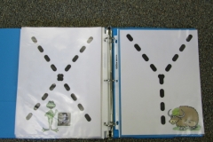 Frogs ABC Book Letter X,Y