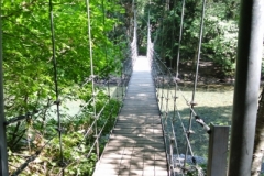 Grove of the patriarchs, Mt.Rainier suspension bridge