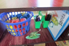 Literacy Center Frogs ABC Preschool Classroom Set up!