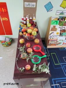 We studied Apples and a branch that fell from an Apple Tree.