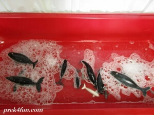 Letter W preschool Art and Activities Whale Wash Sensory Table 2