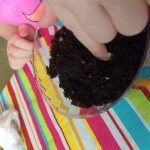 I spy Seed Planting preschool